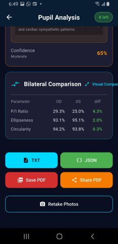 Android export row with TXT, JSON, Save PDF and Share PDF buttons.