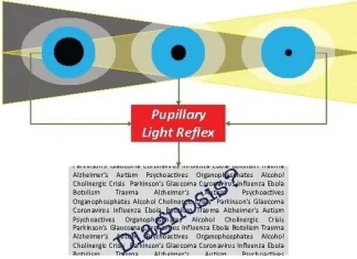Eyeing up the Future of the Pupillary Light Reflex in Neurodiagnostics
