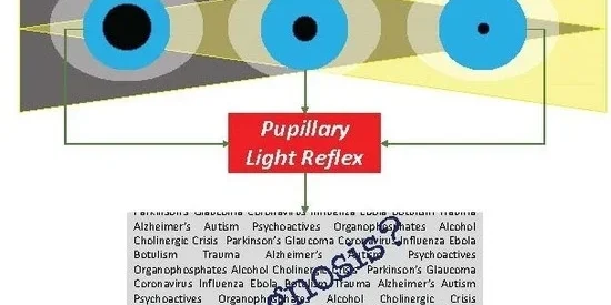 diagnostics-PLR