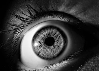 Pupil and Pupillary Light Reflex