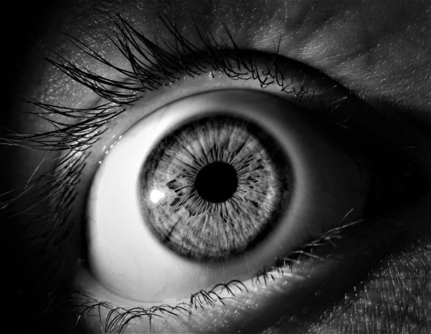 pupil-reflex