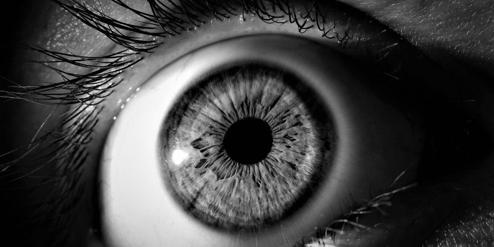 pupil-reflex